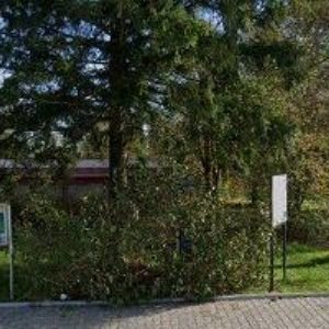 obrazek: avatar RESTAURACE NA LAPAČCE