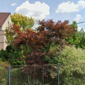 obrazek: avatar KUBOŇ LUKÁŠ-NEREZVÝROBA