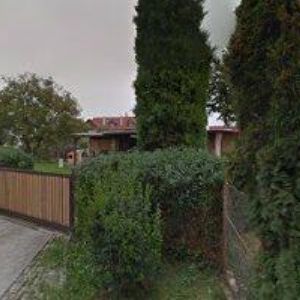 obrazek: avatar JERSÁK MILAN