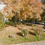 PIVOVAR HAVÍŘOV a.s.