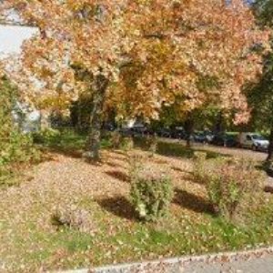 obrazek: avatar PIVOVAR HAVÍŘOV a.s.