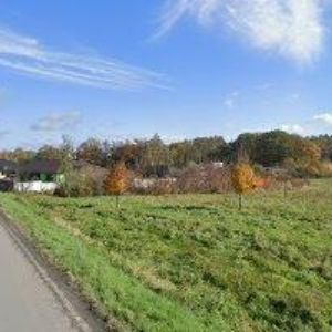 obrazek: avatar MINIBAR DATYŇKA