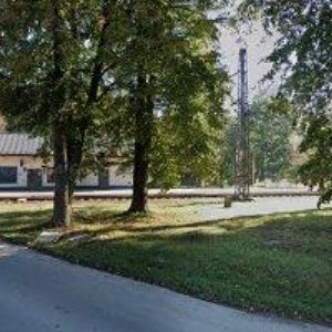 obrazek: avatar POSEZENÍ U ŽÁBY