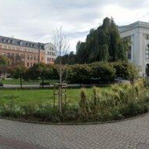 obrazek: avatar BLACK KALE s.r.o.