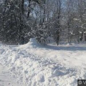 obrazek: avatar OBČERSTVENÍ ORINOKO