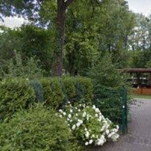 obrazek: avatar RESTAURACE SIKORÁK