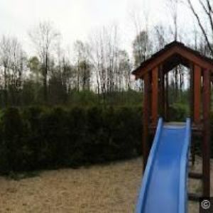 obrazek: avatar RADASŮV ŠENK