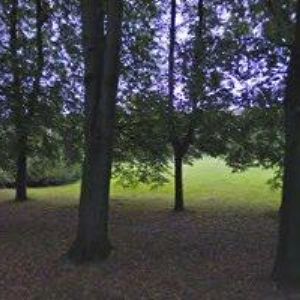 obrazek: avatar SC OSTRAVA, a.s.