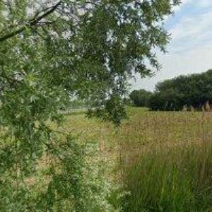 obrazek: avatar CHCISTROJ s.r.o.