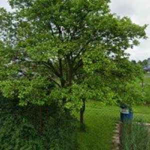 obrazek: avatar OKNA FUCIMAN s.r.o.