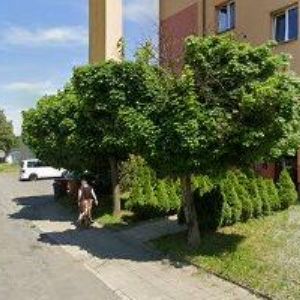 obrazek: avatar PAVLISKA RADOMÍR