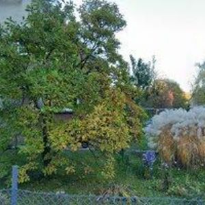 obrazek: avatar BOWLING ÚVOZ