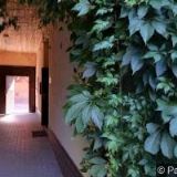 INDICKÁ RESTAURACE TAJ MAHAL