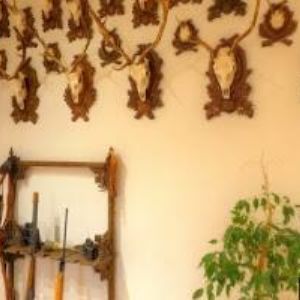 obrazek: avatar CAFE 7