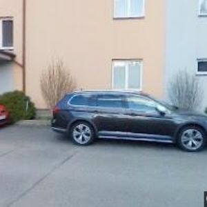 obrazek: avatar MONEX