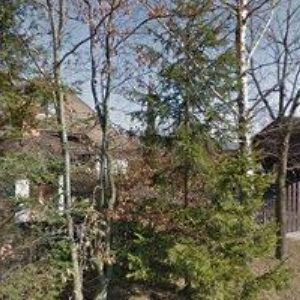 obrazek: avatar HOSPŮDKA U ČERNÉHO KOHOUTA