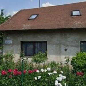 obrazek: avatar RESTAURACE KOLONIE