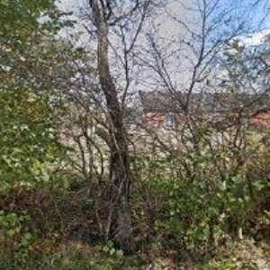 obrazek: avatar 777 HAVÍŘOV