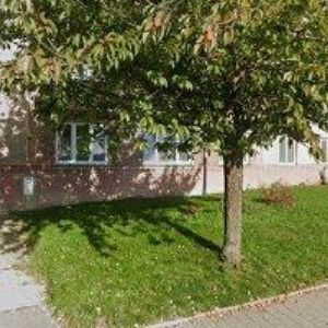 obrazek: avatar BAR U RUDOLFA