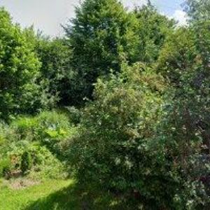 obrazek: avatar HANÁK DAVID