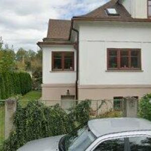 obrazek: avatar KONDZIOLKA DAVID