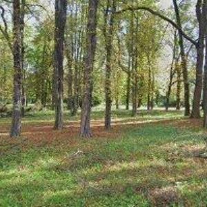 obrazek: avatar SG-GEOINŽENÝRING s.r.o.