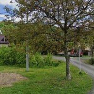 obrazek: avatar PAŘENICA STANISLAV