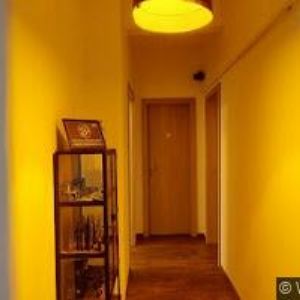 obrazek: avatar SM IMPORT s.r.o.