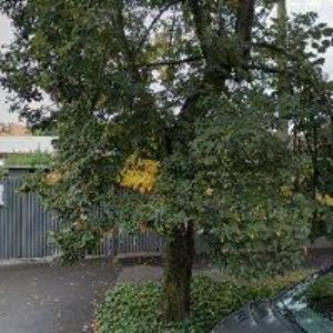 obrazek: avatar DRUZAM