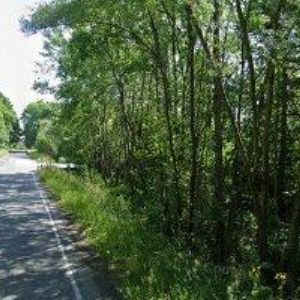 obrazek: avatar DEPOS HORNÍ SUCHÁ, a.s.