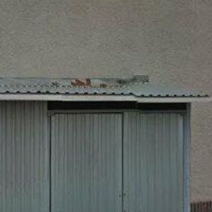 obrazek: avatar ARDIGAS CZ, s.r.o.