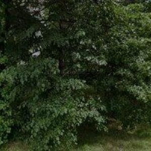 obrazek: avatar SOKOLA PAVEL