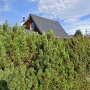 obrazek: avatar SMOLKA LADISLAV Ing.