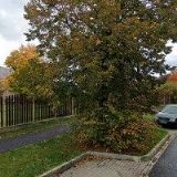 VÁŇOVÁ ŠTĚPÁNKA