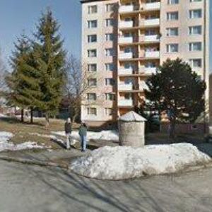 obrazek: avatar TOMÁŠKOVÁ LENKA