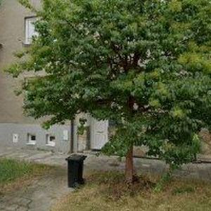 obrazek: avatar AK-PROCHÁZKA DANIEL Mgr.