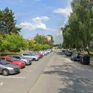 obrazek: avatar JANYŠKOVÁ KATEŘINA