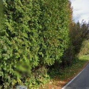 obrazek: avatar AK-KRAJČÍK IGOR JUDr.