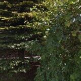 AK-BAMBASOVÁ JANA JUDr.