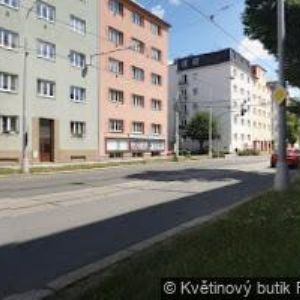 obrazek: avatar AK-ČECHÁKOVÁ KLÁRA Mgr.