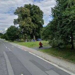 obrazek: avatar KUREČKOVÁ JANA