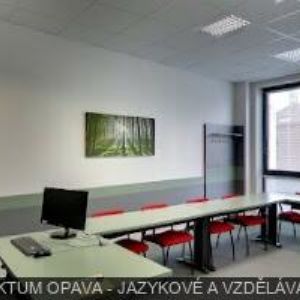 obrazek: avatar DADEJOVÁ DITA