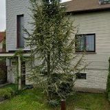 AK-DOLEŽÍLKOVÁ ZDEŇKA JUDr.