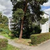 AK-ŘEHÁČKOVÁ HANA JUDr.