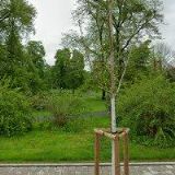 ADVOKÁTNÍ KANCELÁŘ SVATOŠ, SVATOŠOVÁ A PARTNEŘI, s.r.o.