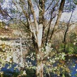 obrazek: avatar SEY DEVELOPMENT, a.s.