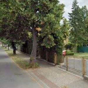 obrazek: avatar CHOVANEC MIROSLAV-ZAHRADNICTVÍ