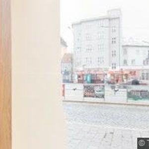 obrazek: avatar ORLETOVÁ HANA JUDr.