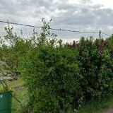 NEČESANÝ LUDĚK-KAMENICTVÍ