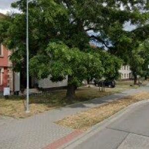 obrazek: avatar MISU